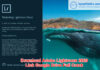 Download Adobe Lightroom 2020 Full Active Link Google Drive + Hướng dẫn cài đặt Donwload Lightroom 2020 Full Link Google Drive